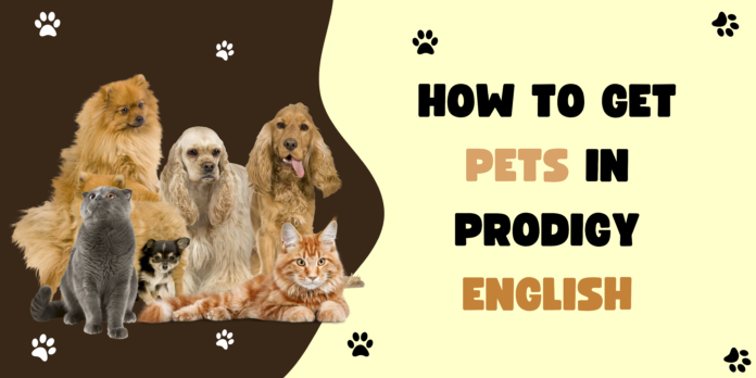 How to Get Pets in Prodigy English